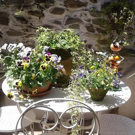 Casa Med