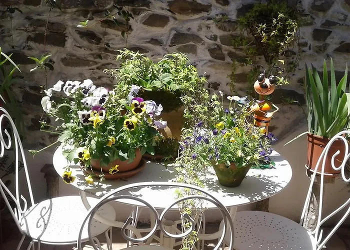 Casa Med Holiday