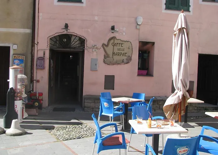 Casa Med